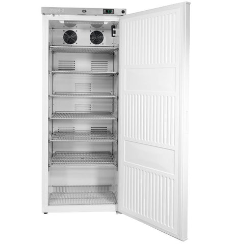 Solid Door RTS Cabinet (300L)
